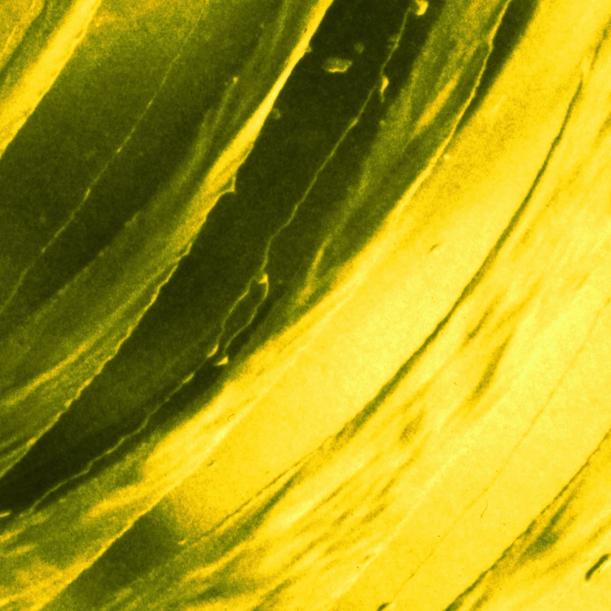Citrine Current, detail at actual size